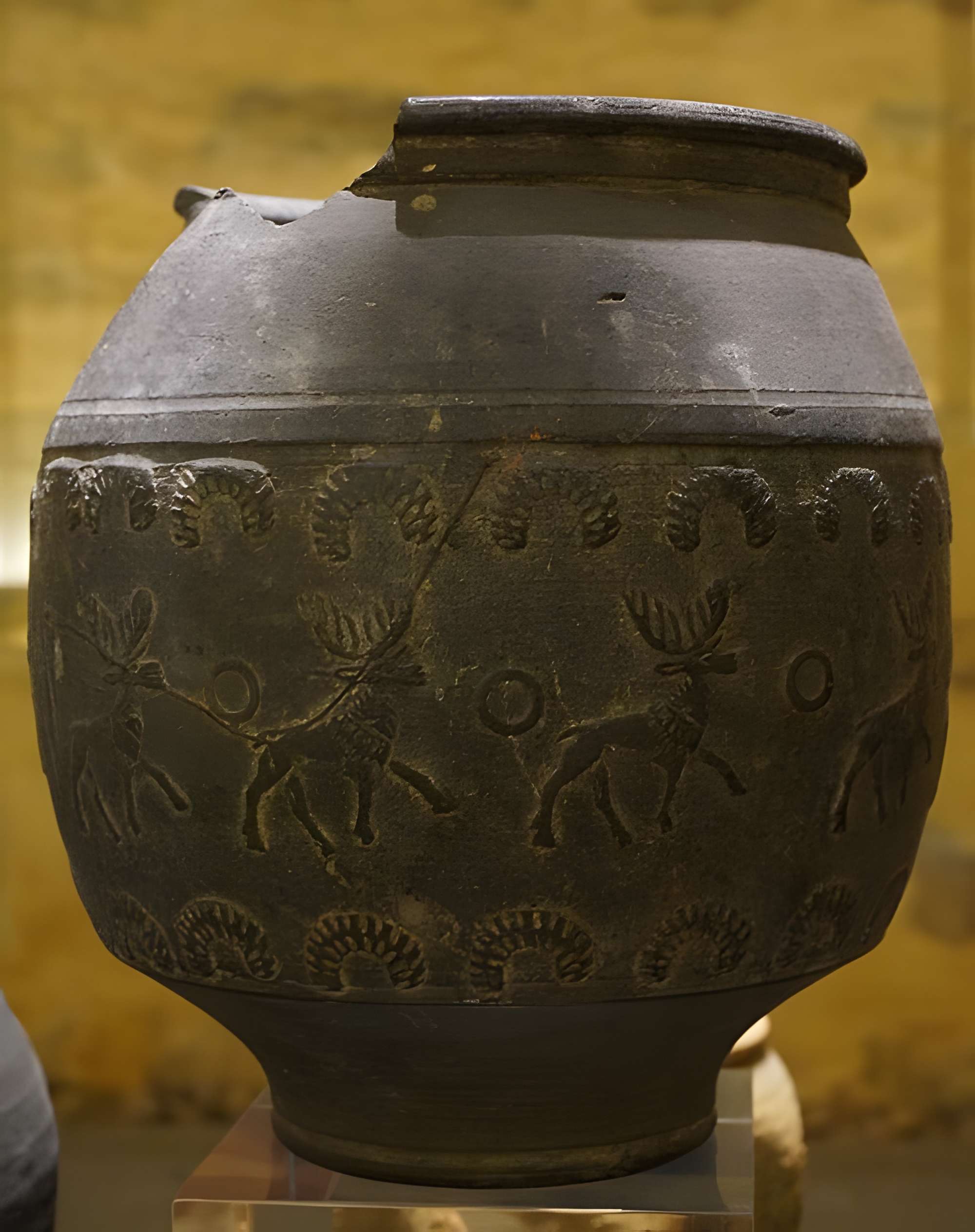 Le Musée De L'Ardenne à Charleville-Mézières