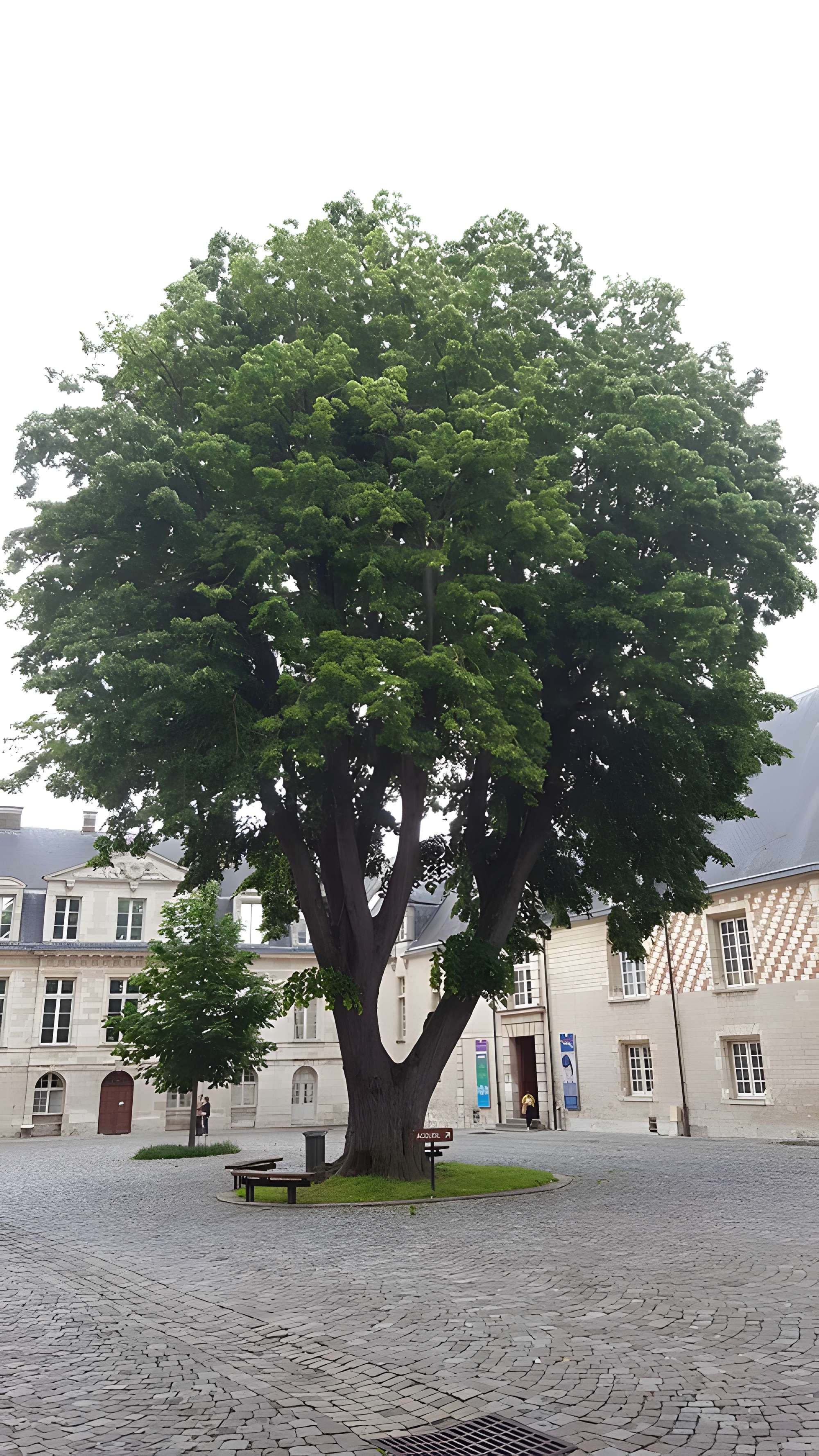 Musée d'art moderne de Troyes