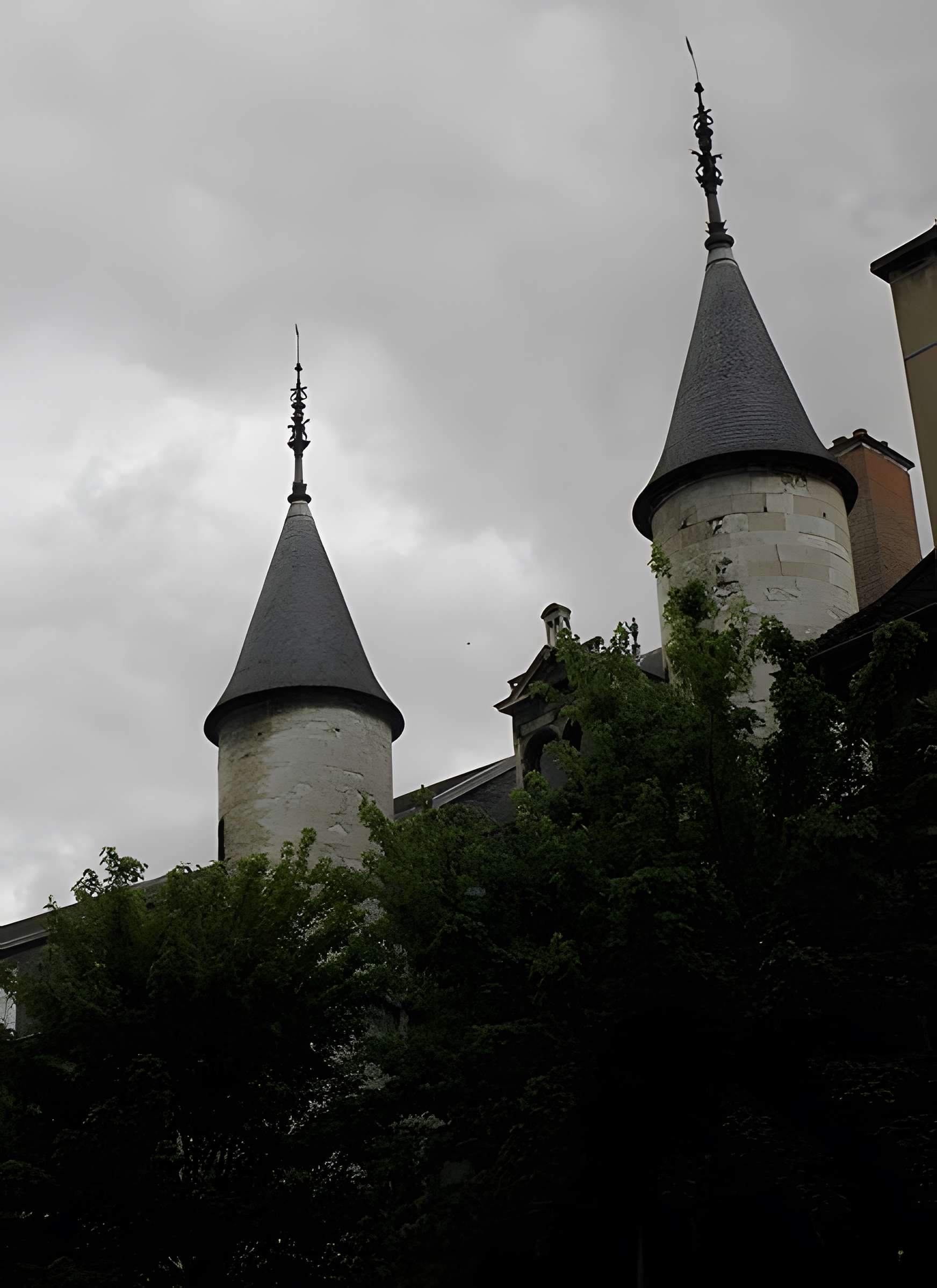 Musée de Vauluisant de la Bonneterie à Troyes