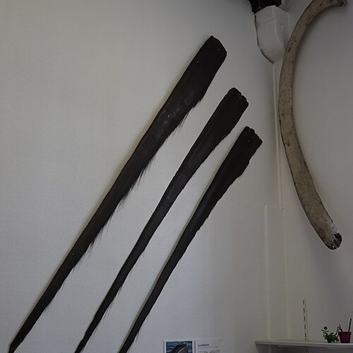 Photo de Musée des beaux-arts de Troyes