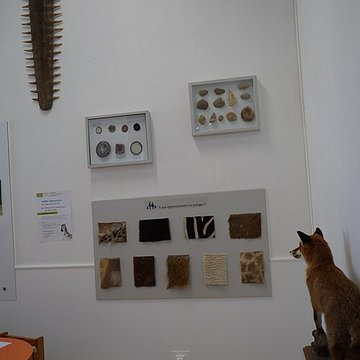 Musée des beaux-arts de Troyes