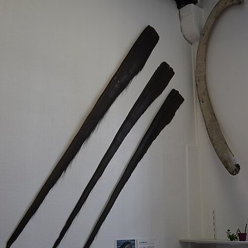 Musée des beaux-arts de Troyes