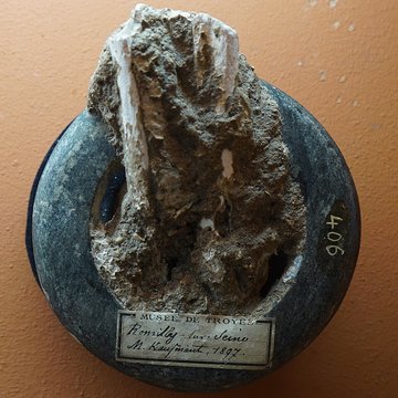 Musée des beaux-arts de Troyes