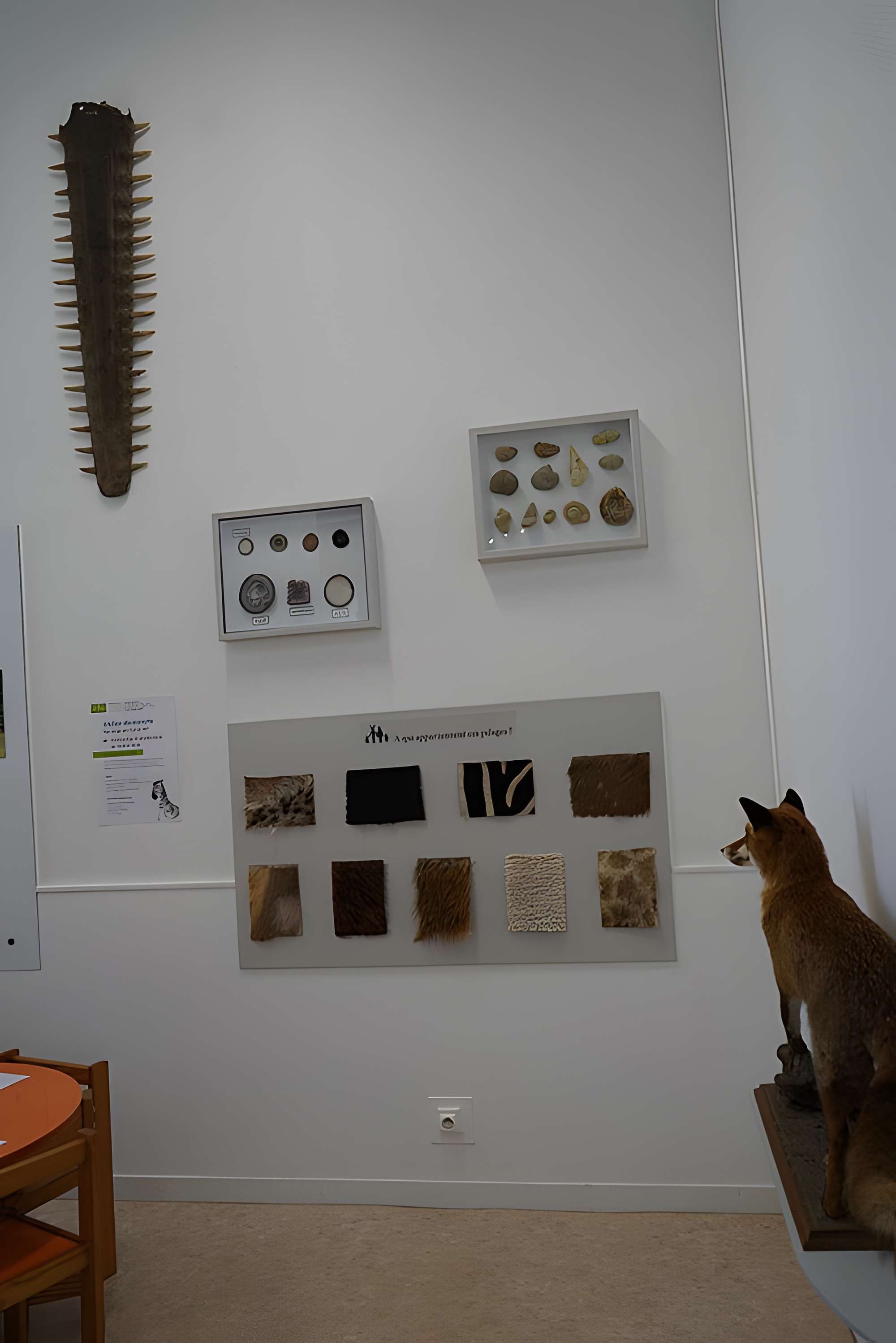 Musée des beaux-arts de Troyes