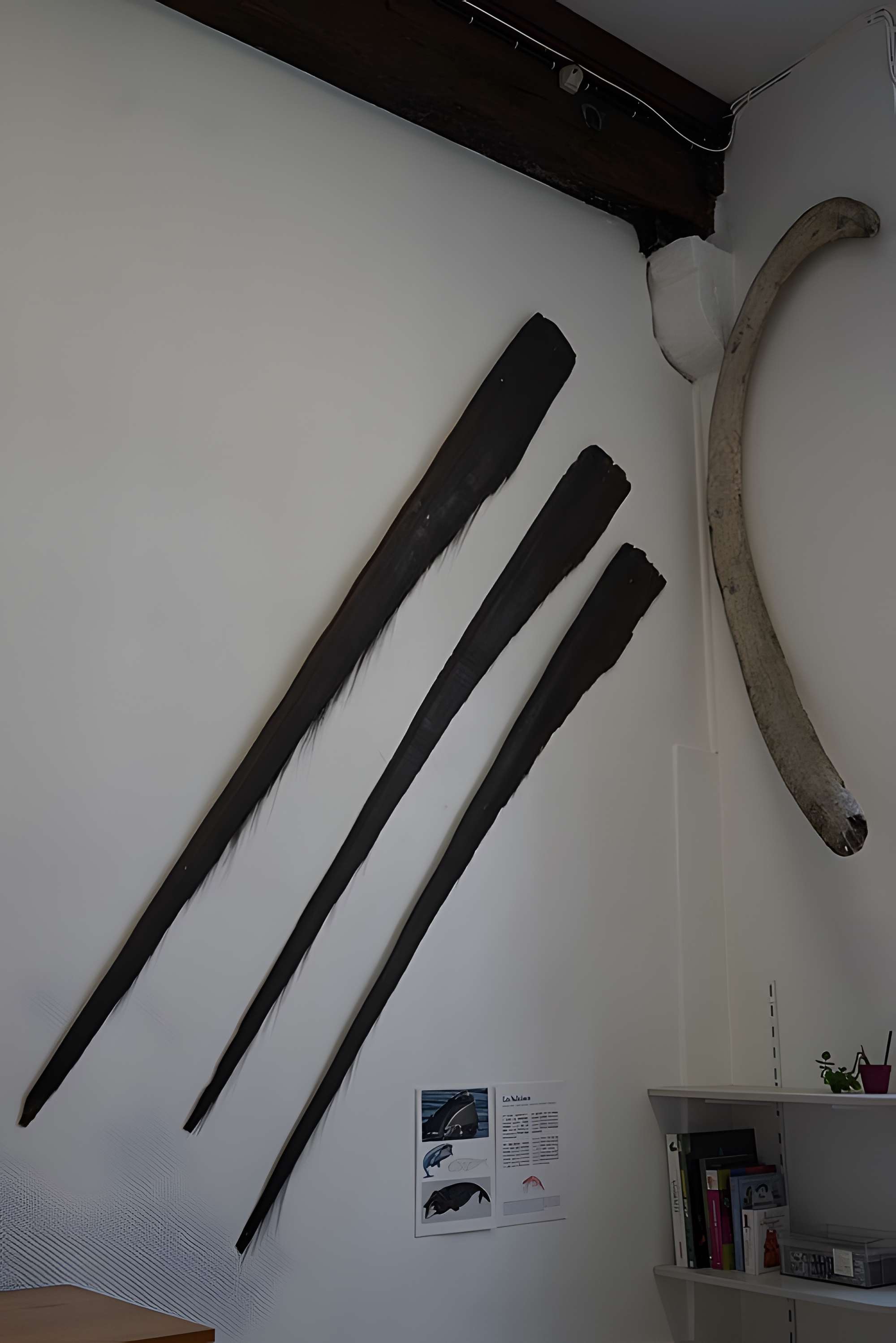 Musée des beaux-arts de Troyes