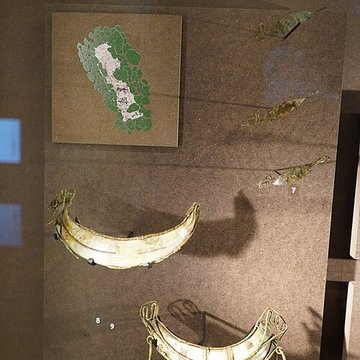 Musée Camille Claudel de Nogent-sur-Seine 