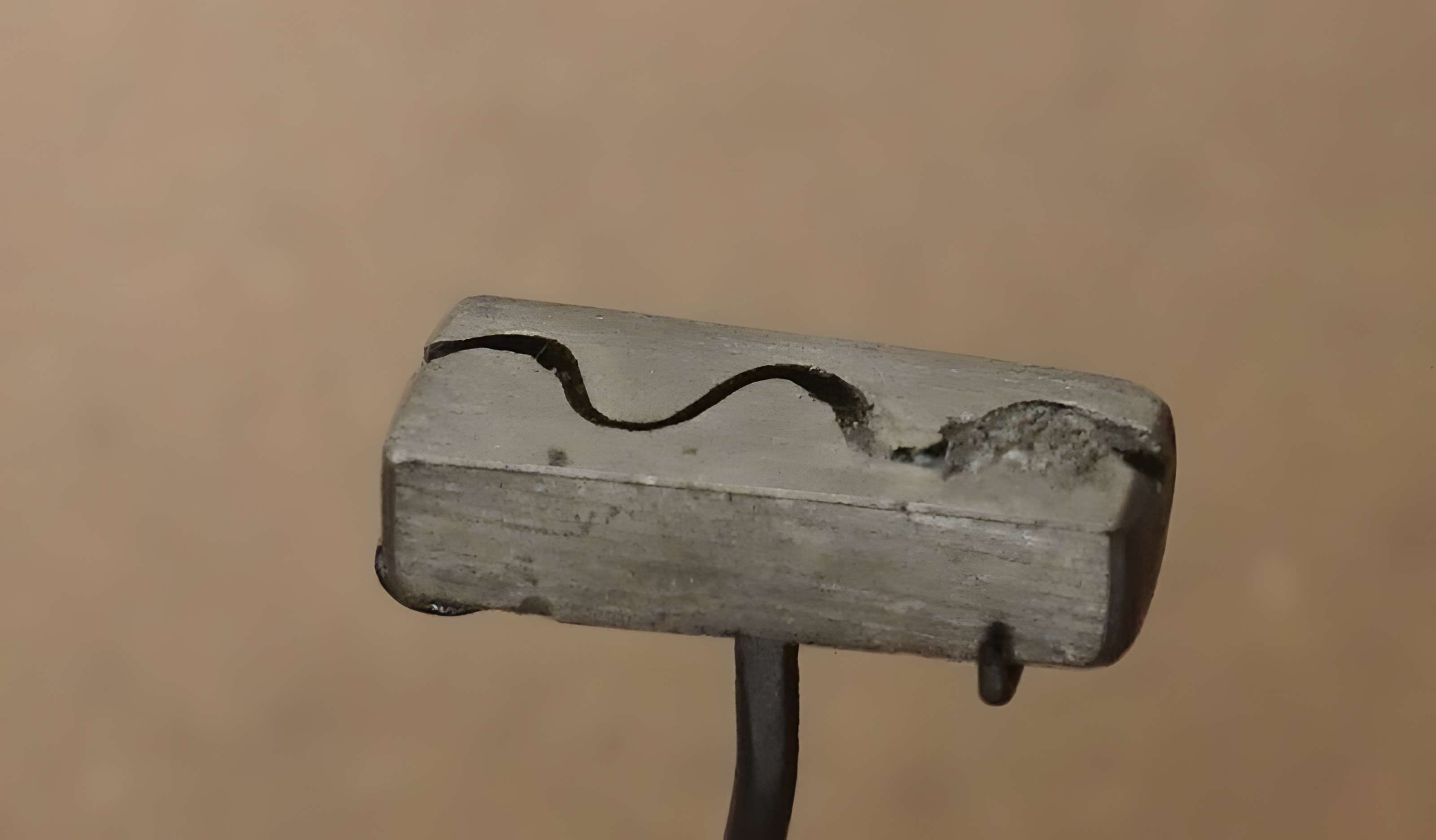 Musée Camille Claudel de Nogent-sur-Seine 