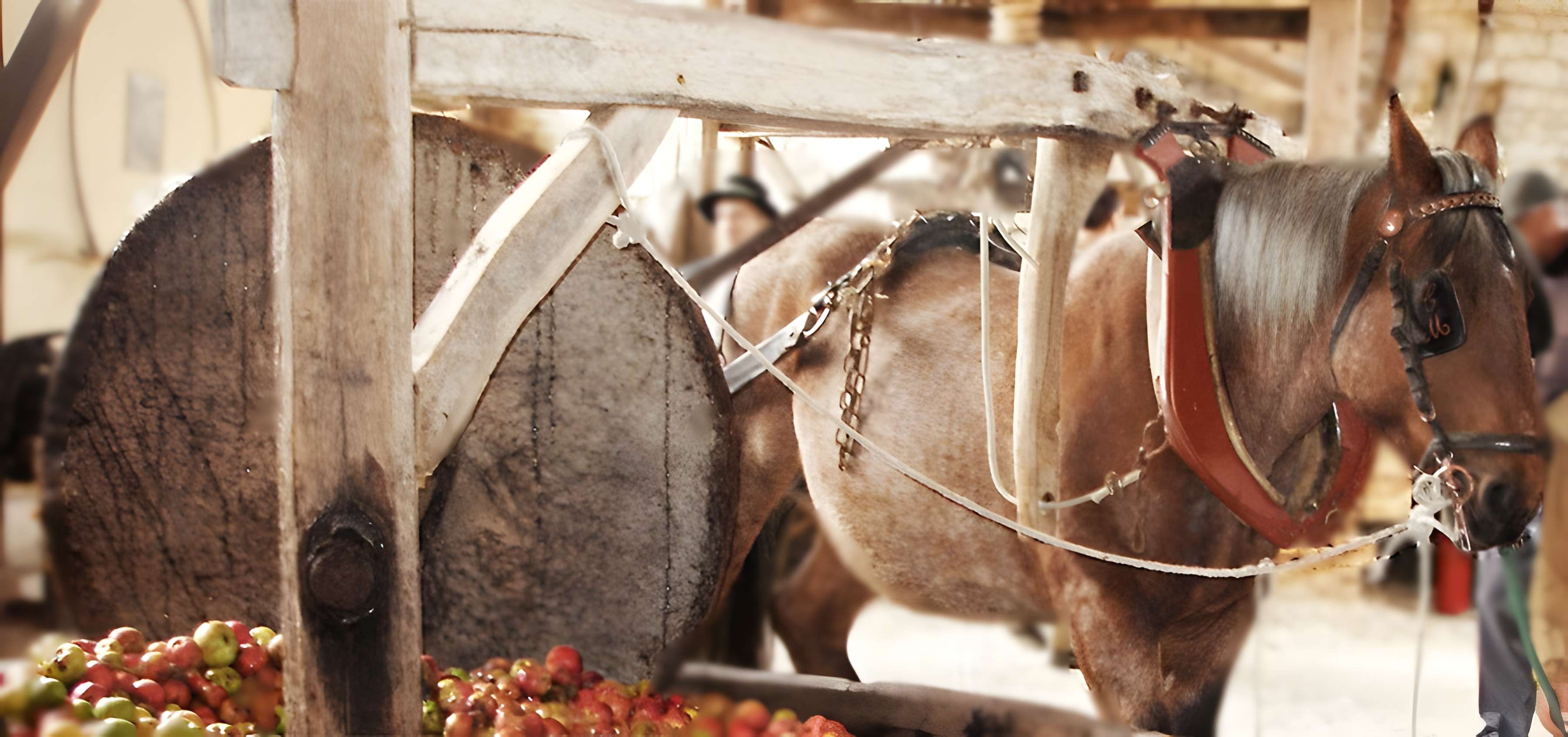 Musée du Cidre du Pays d'Othe d'Eaux-Puiseaux 