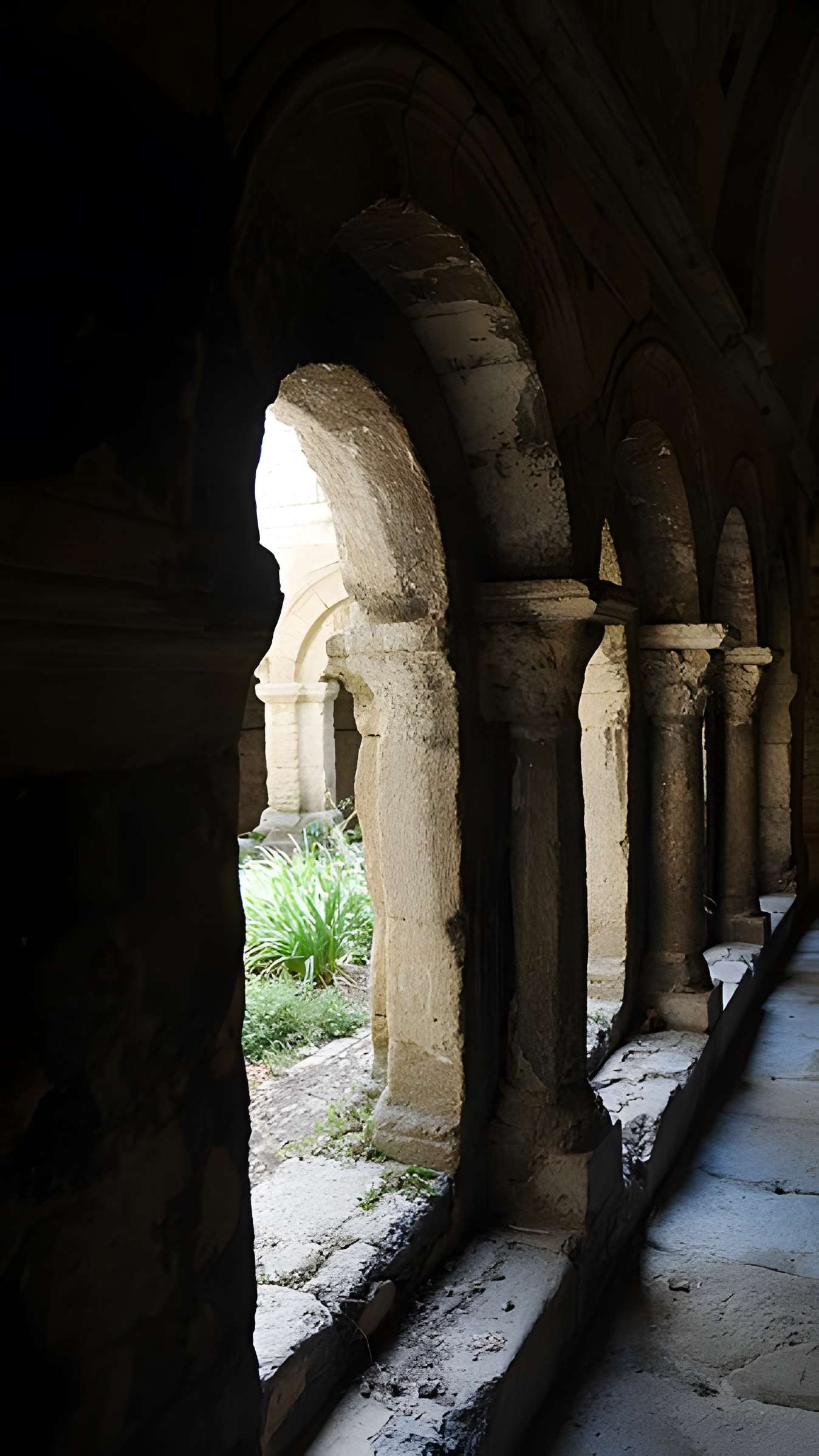 Cathédrale Notre-Dame-et-Saint-Véran de Cavaillon