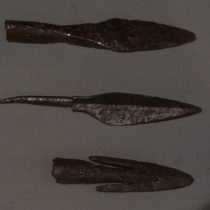 Photo de Musée municipal de Saint-Dizier