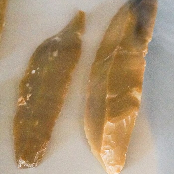 Photo de Musée municipal de Saint-Dizier