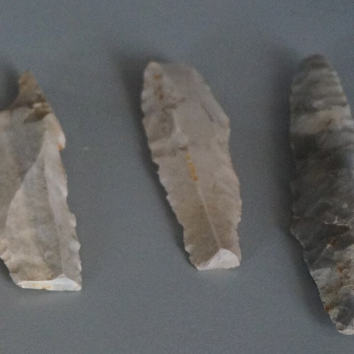 Photo de Musée municipal de Saint-Dizier