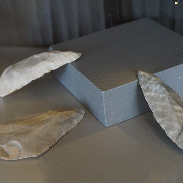 Photo de Musée municipal de Saint-Dizier