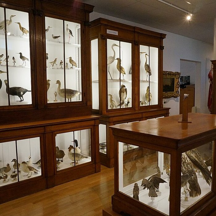 Photo de Musée municipal de Saint-Dizier