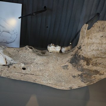 Musée municipal de Saint-Dizier