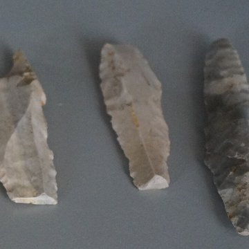 Musée municipal de Saint-Dizier