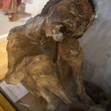 Musée municipal de Saint-Dizier