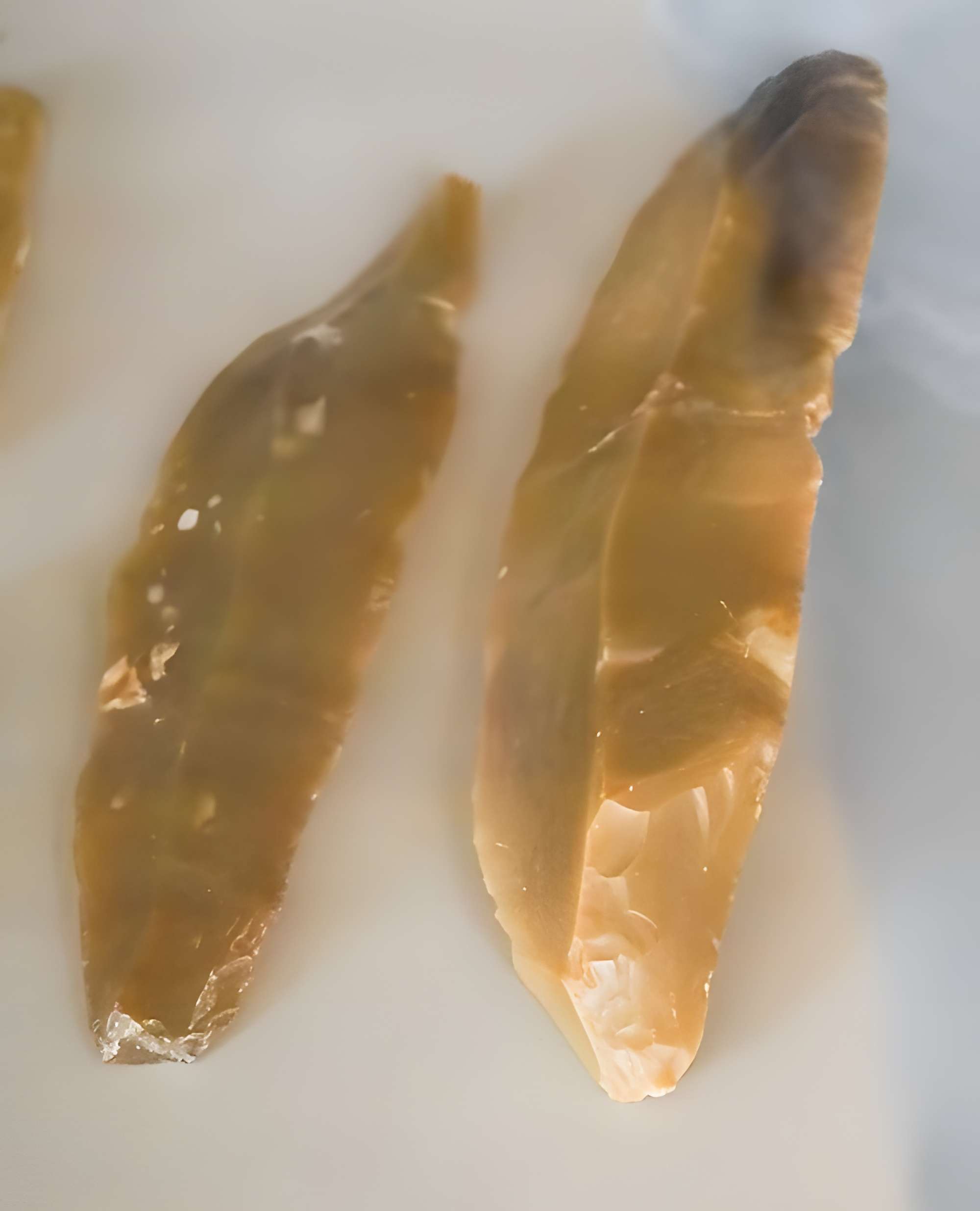 Musée municipal de Saint-Dizier