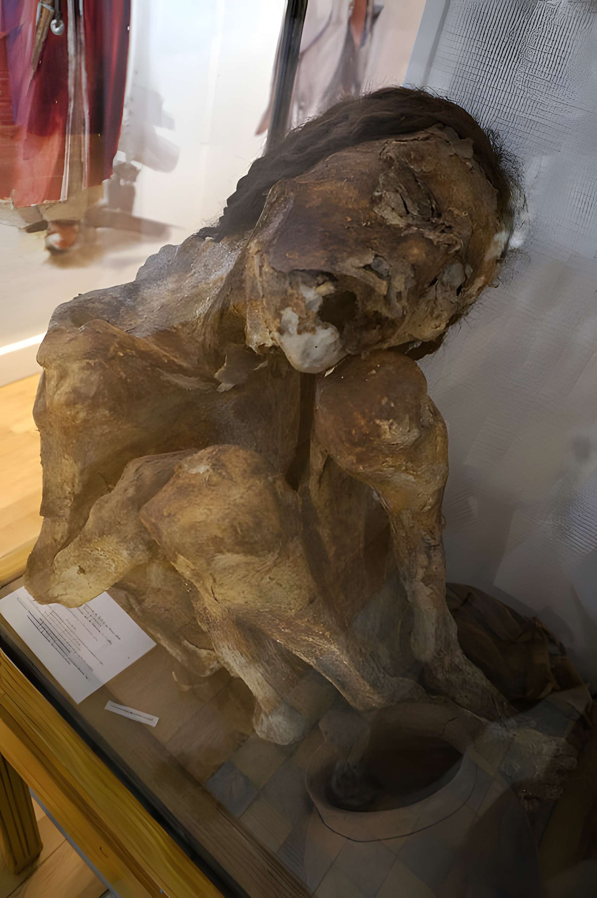 Musée municipal de Saint-Dizier