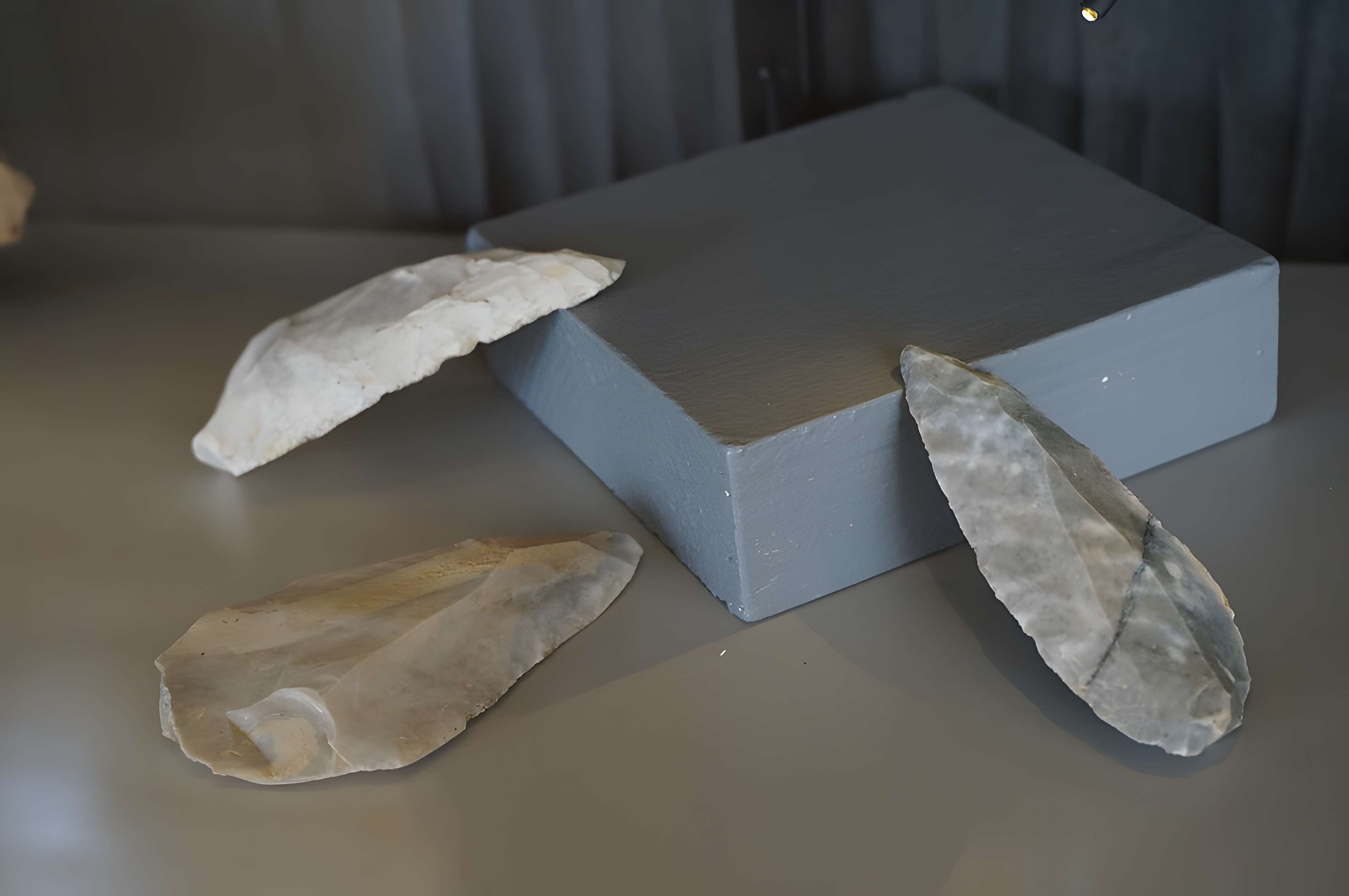 Musée municipal de Saint-Dizier