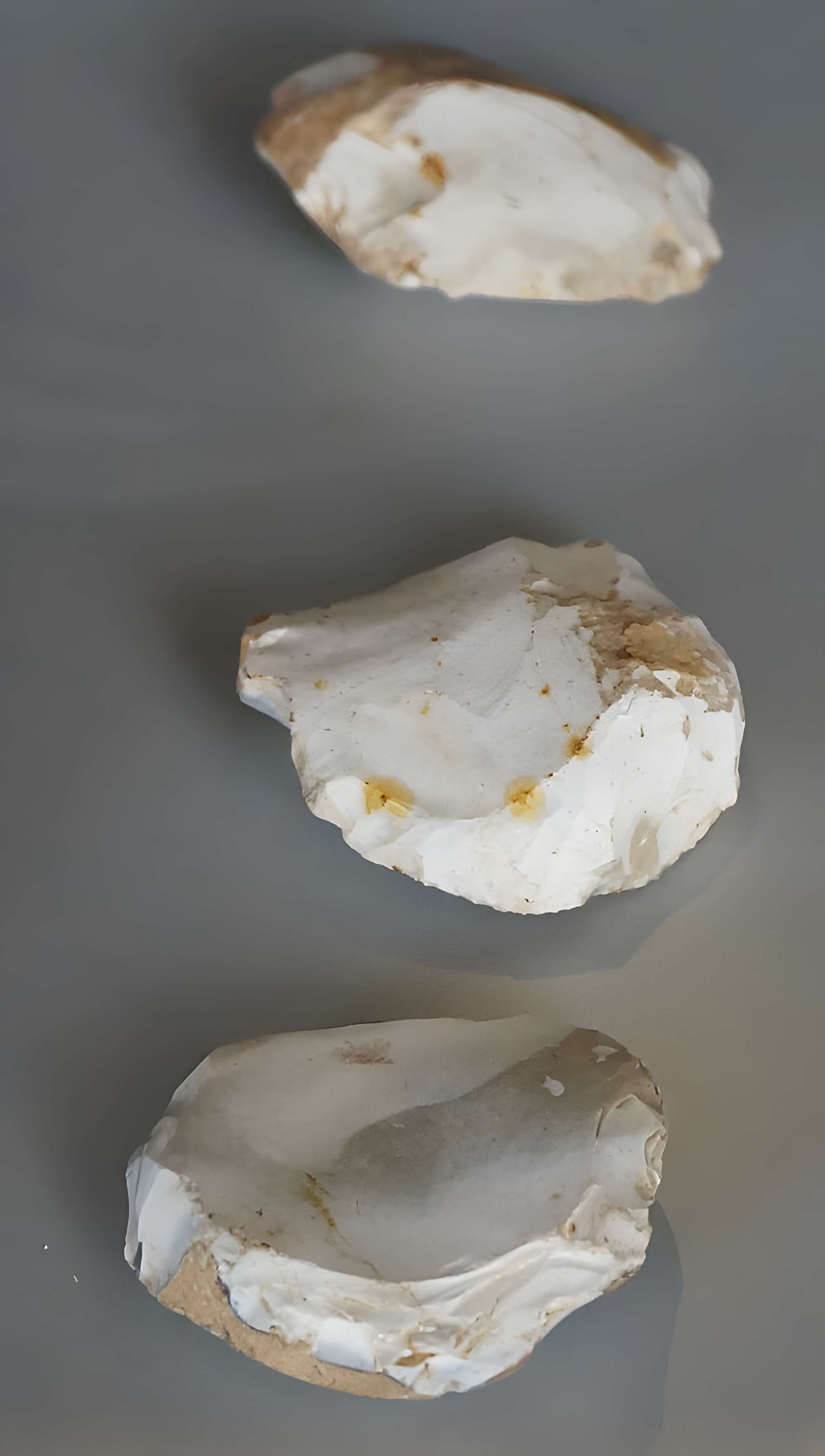 Musée municipal de Saint-Dizier