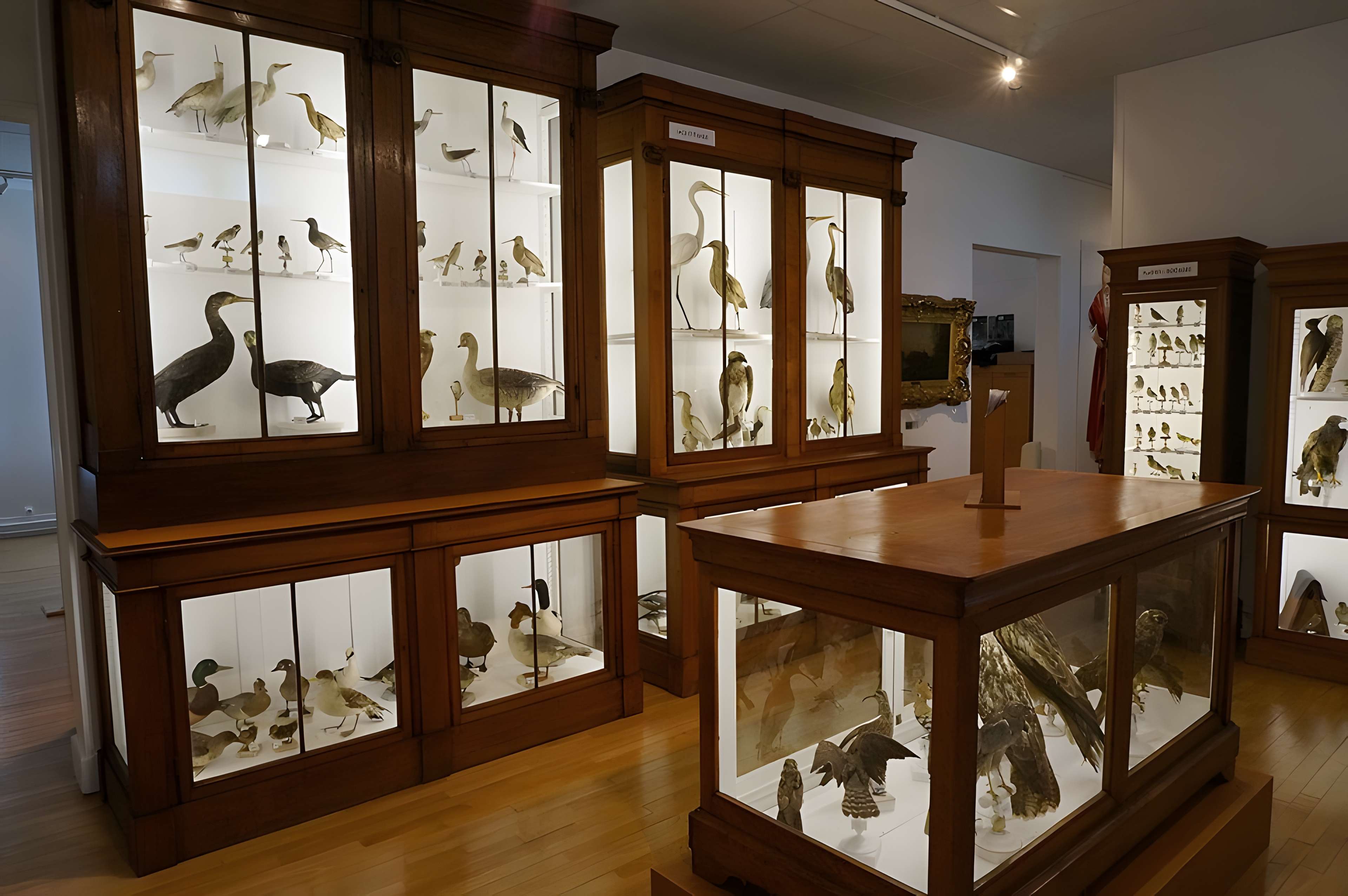 Musée municipal de Saint-Dizier