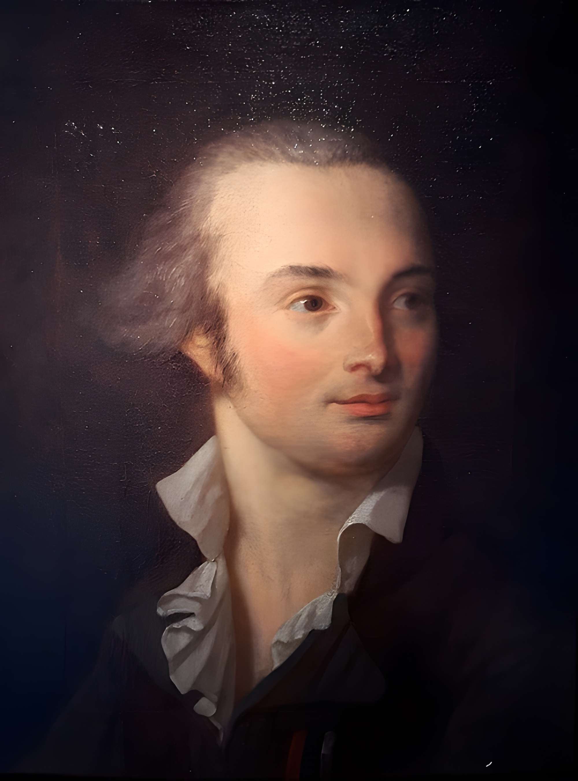 Musée d'art et d'histoire de Langres