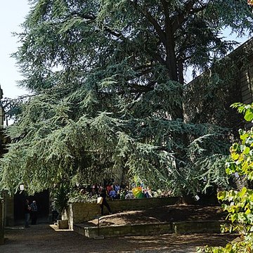 Musée-hôtel Le Vergeur à Reims