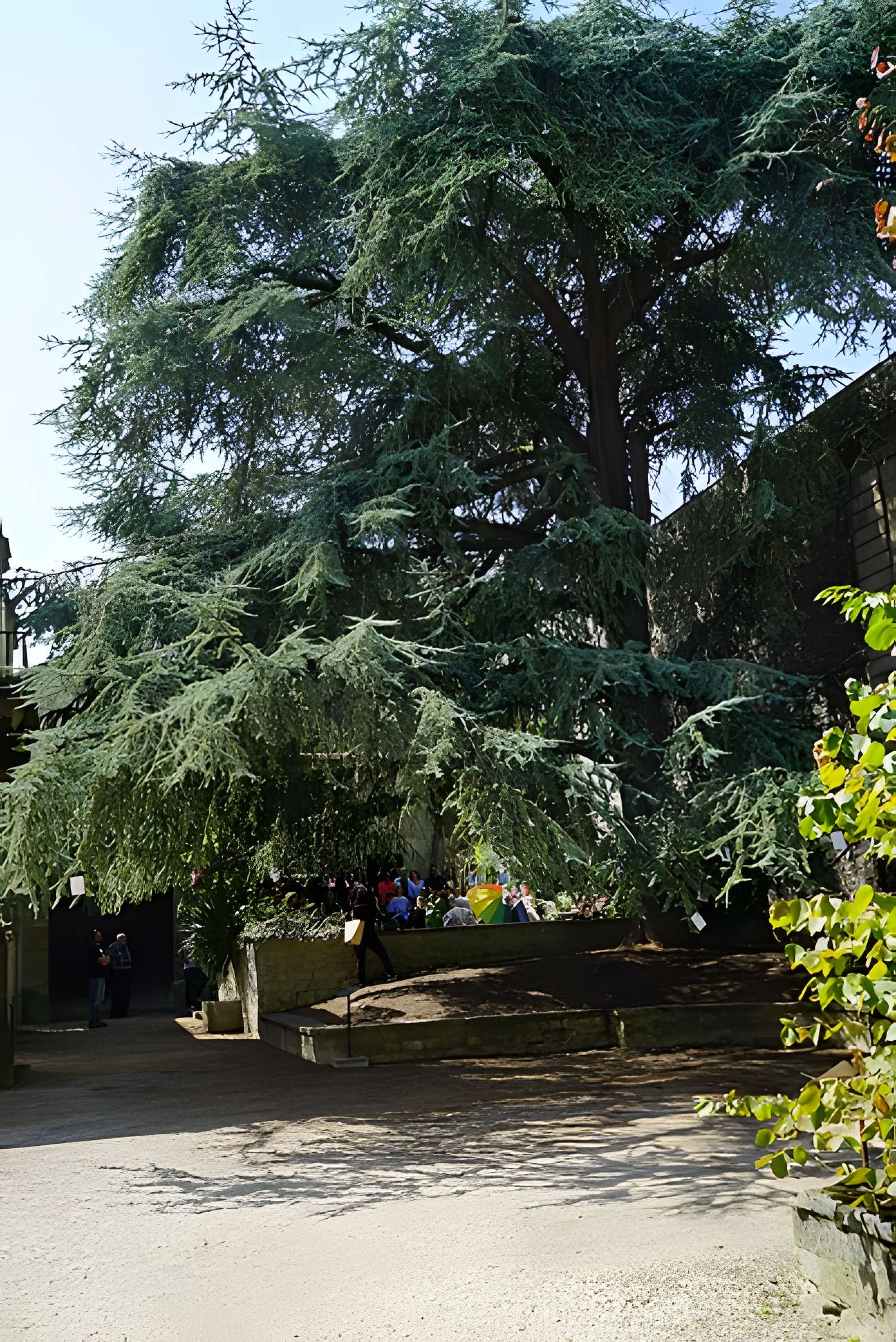 Musée-hôtel Le Vergeur à Reims