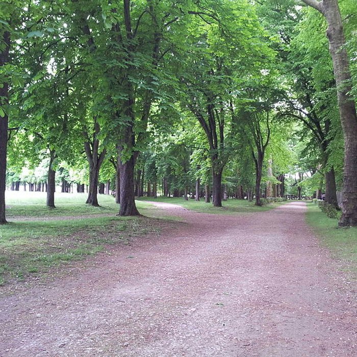 Photo de Château de Richelieu