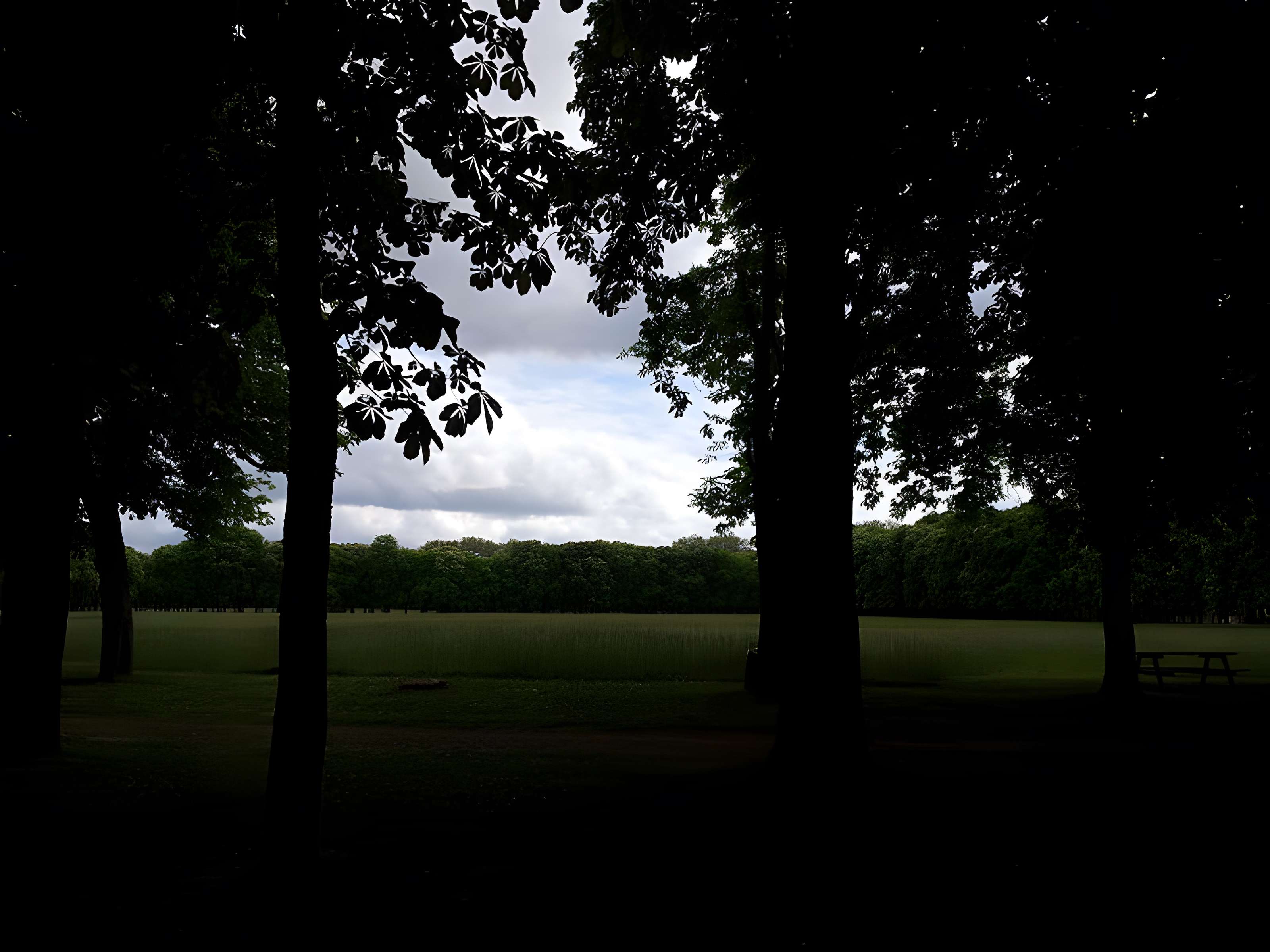 Château de Richelieu