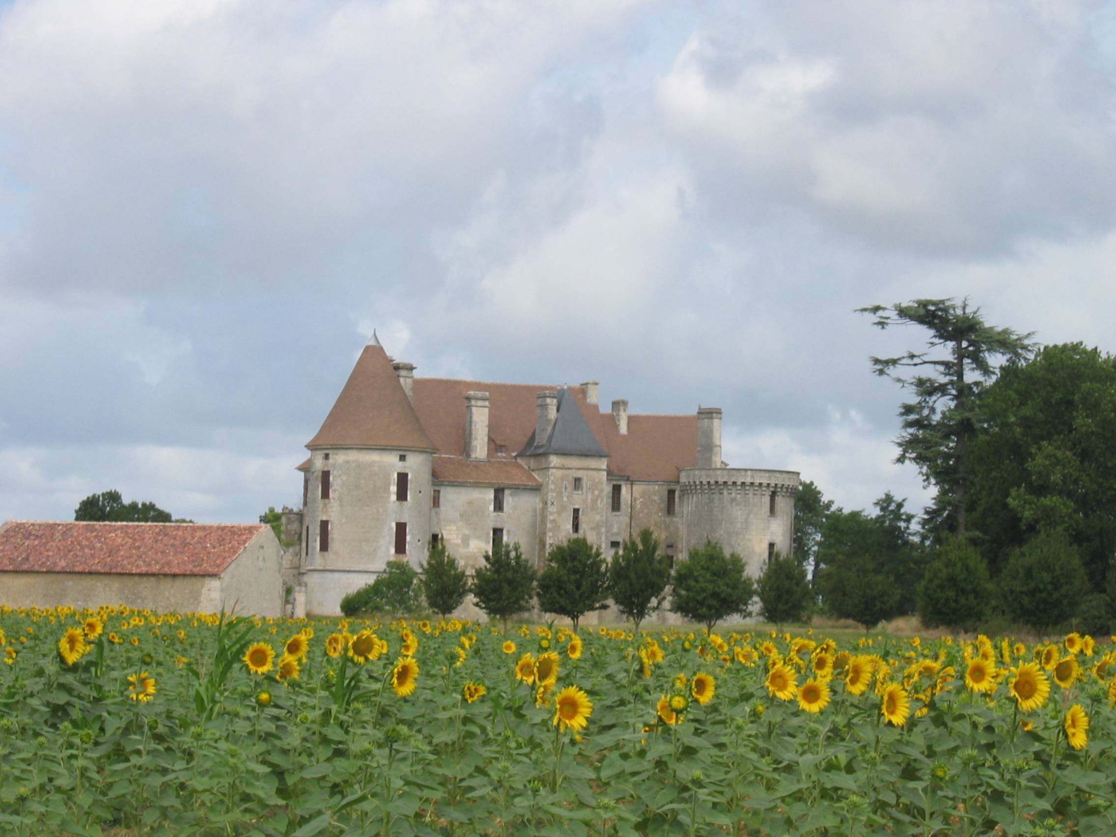 Photo de Château de Rioux 