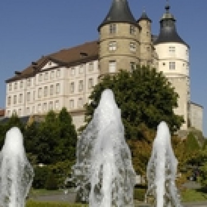 Photo de Musée du Château des ducs de Wurtemberg