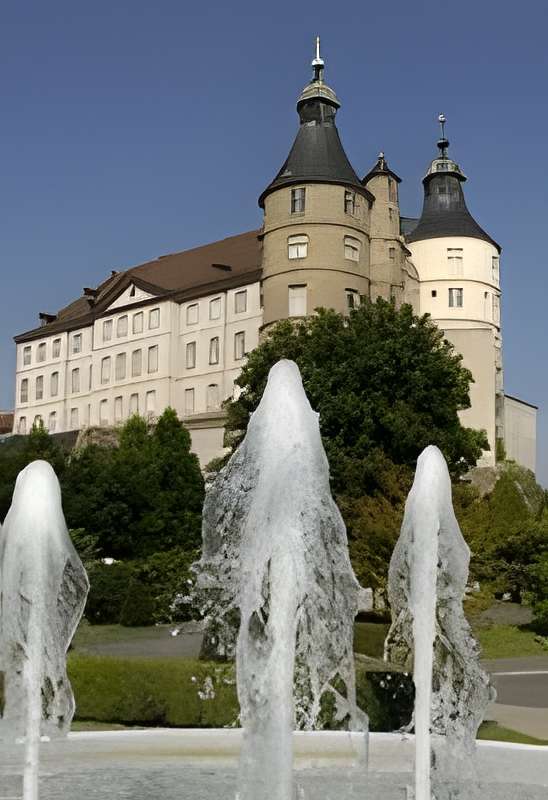 Musée du Château des ducs de Wurtemberg 