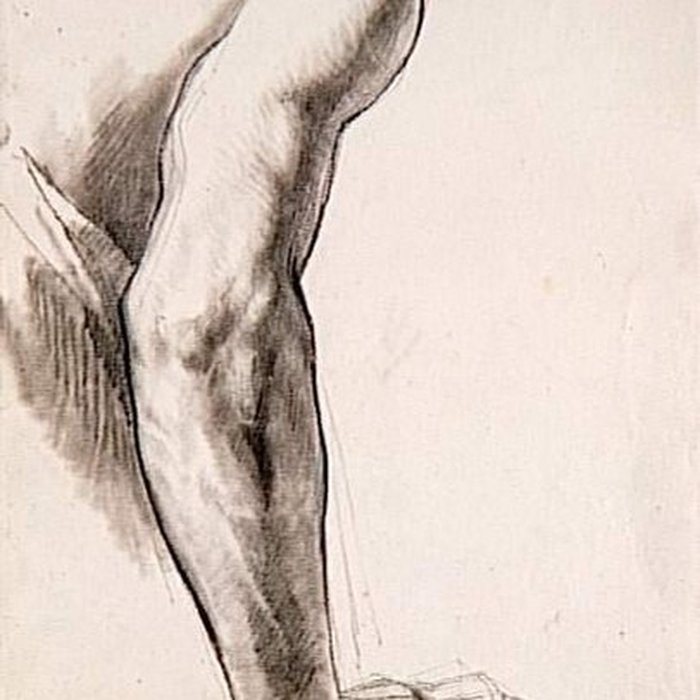 Photo de Musée des beaux-arts et darchéologie de Besançon