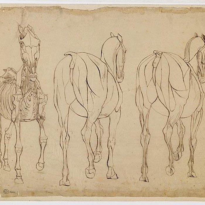 Photo de Musée des beaux-arts et darchéologie de Besançon