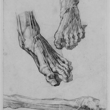 Musée des beaux-arts et darchéologie de Besançon