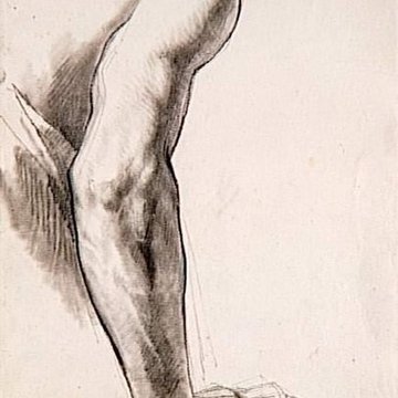 Musée des beaux-arts et darchéologie de Besançon