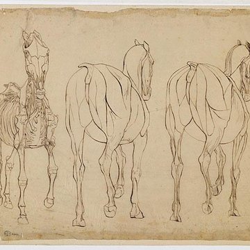 Musée des beaux-arts et darchéologie de Besançon