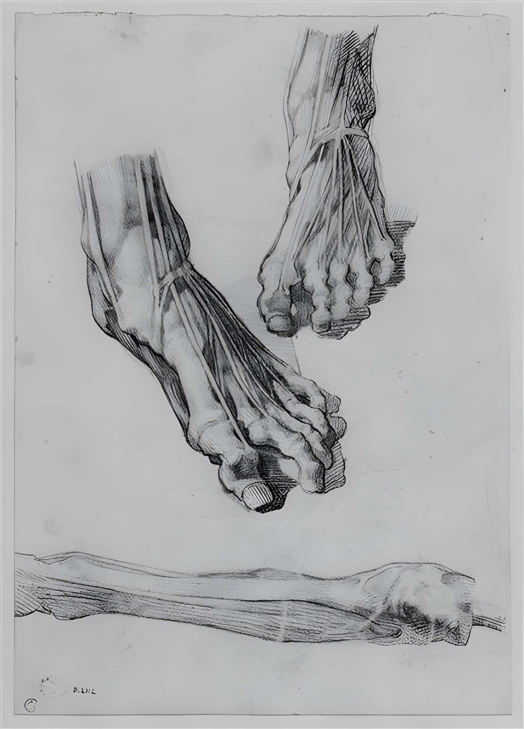 Musée des beaux-arts et d'archéologie de Besançon