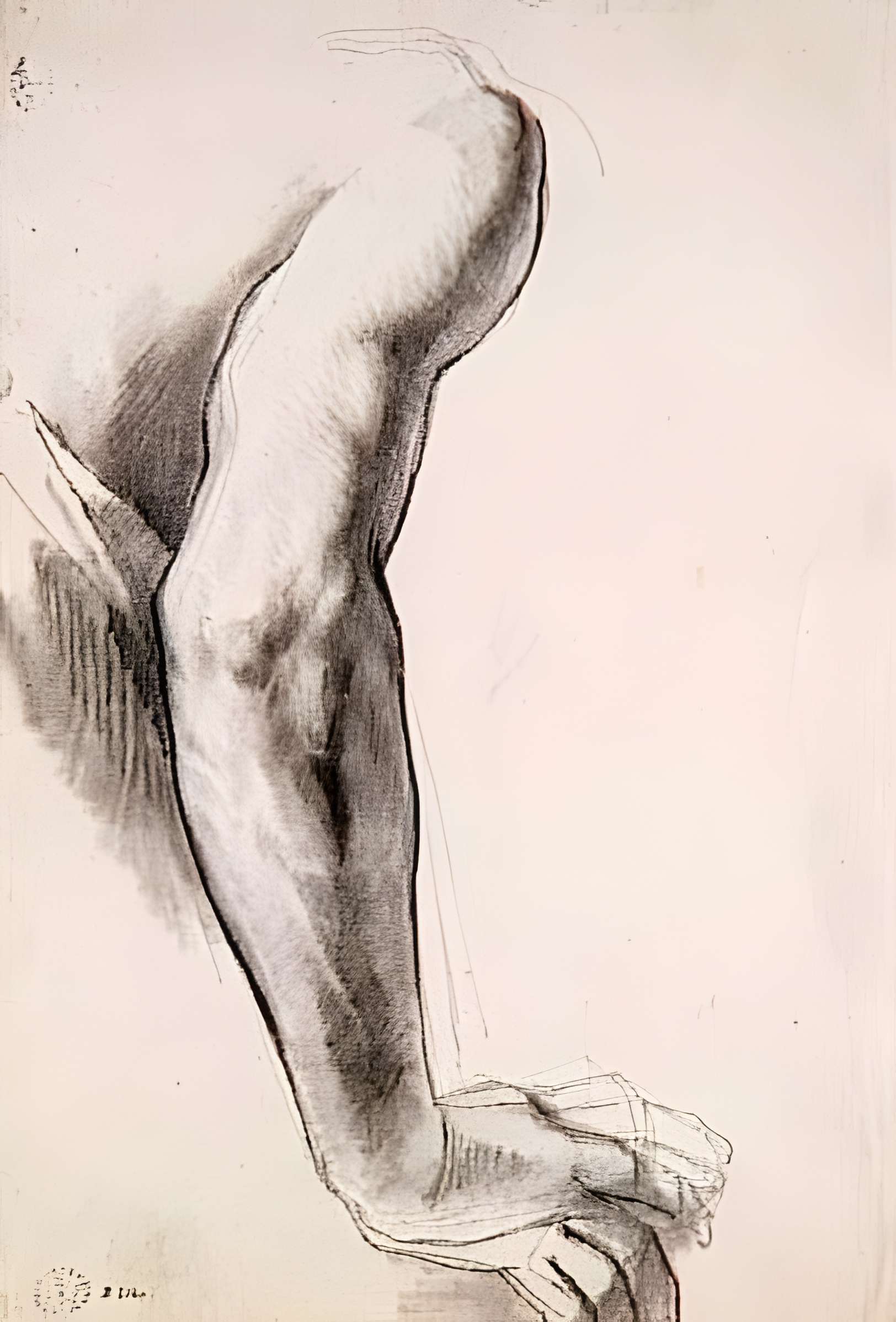 Musée des beaux-arts et d'archéologie de Besançon