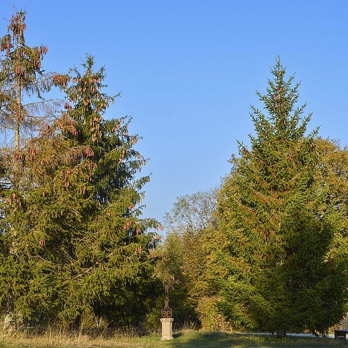 Photo de Musée de Plein Air des Maisons Comtoises