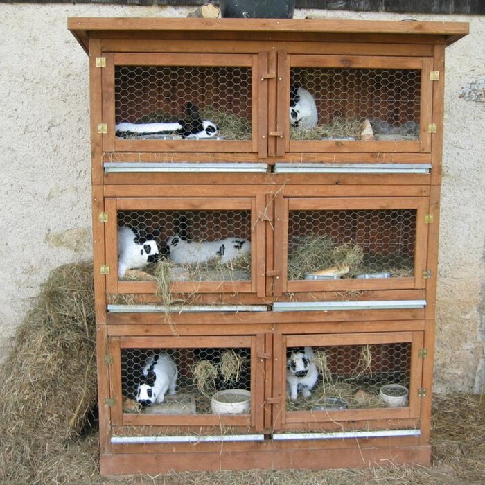 Photo de Musée de Plein Air des Maisons Comtoises