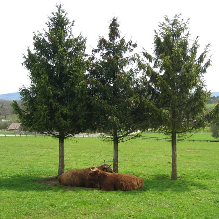 Photo de Musée de Plein Air des Maisons Comtoises