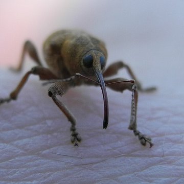 Musée de Plein Air des Maisons Comtoises