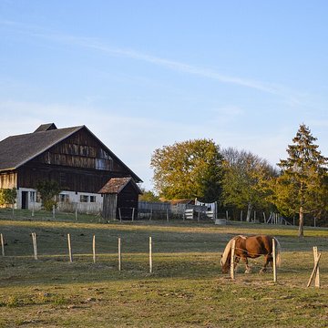 Musée de Plein Air des Maisons Comtoises