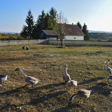 Musée de Plein Air des Maisons Comtoises