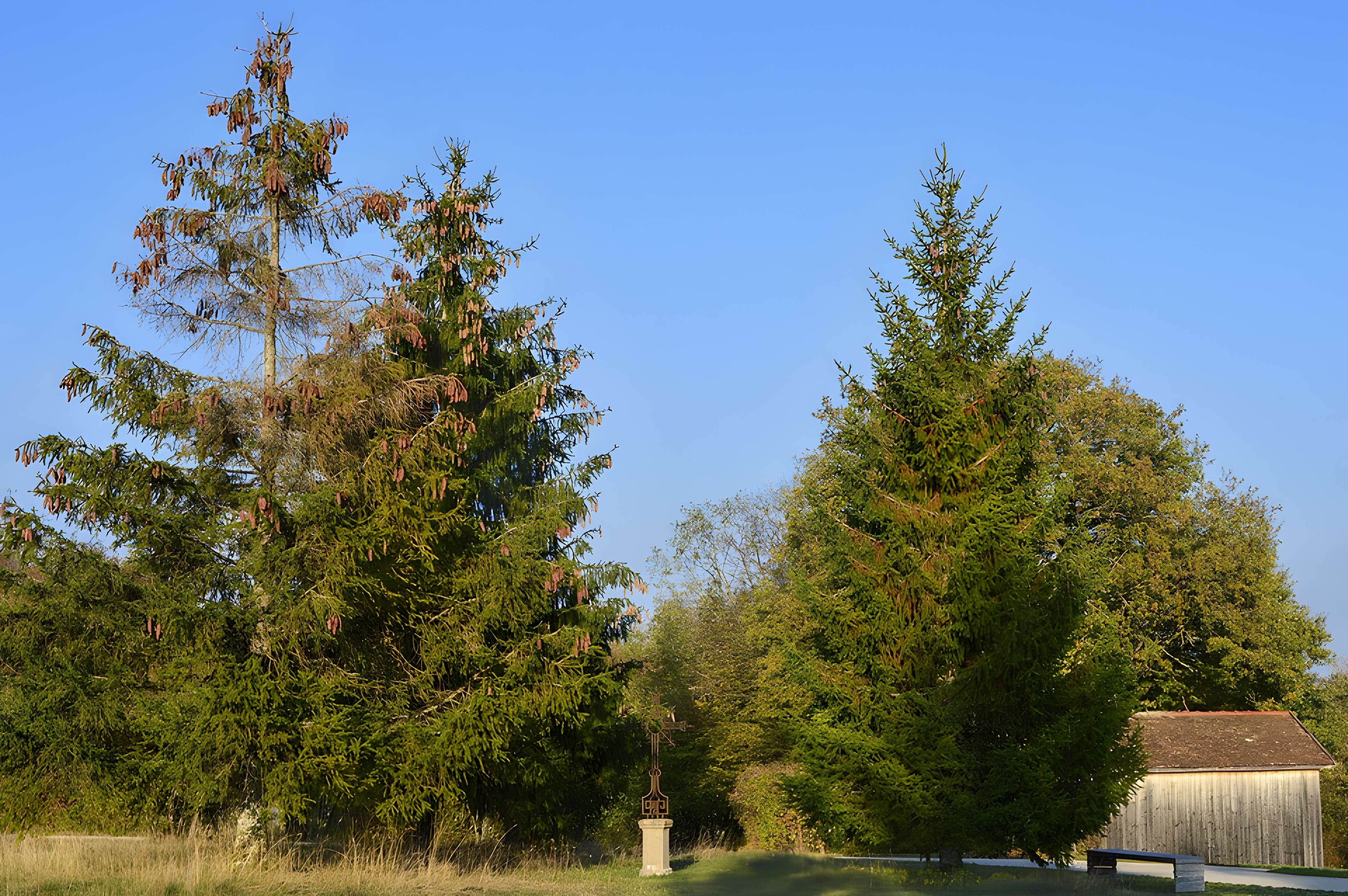 Musée de Plein Air des Maisons Comtoises