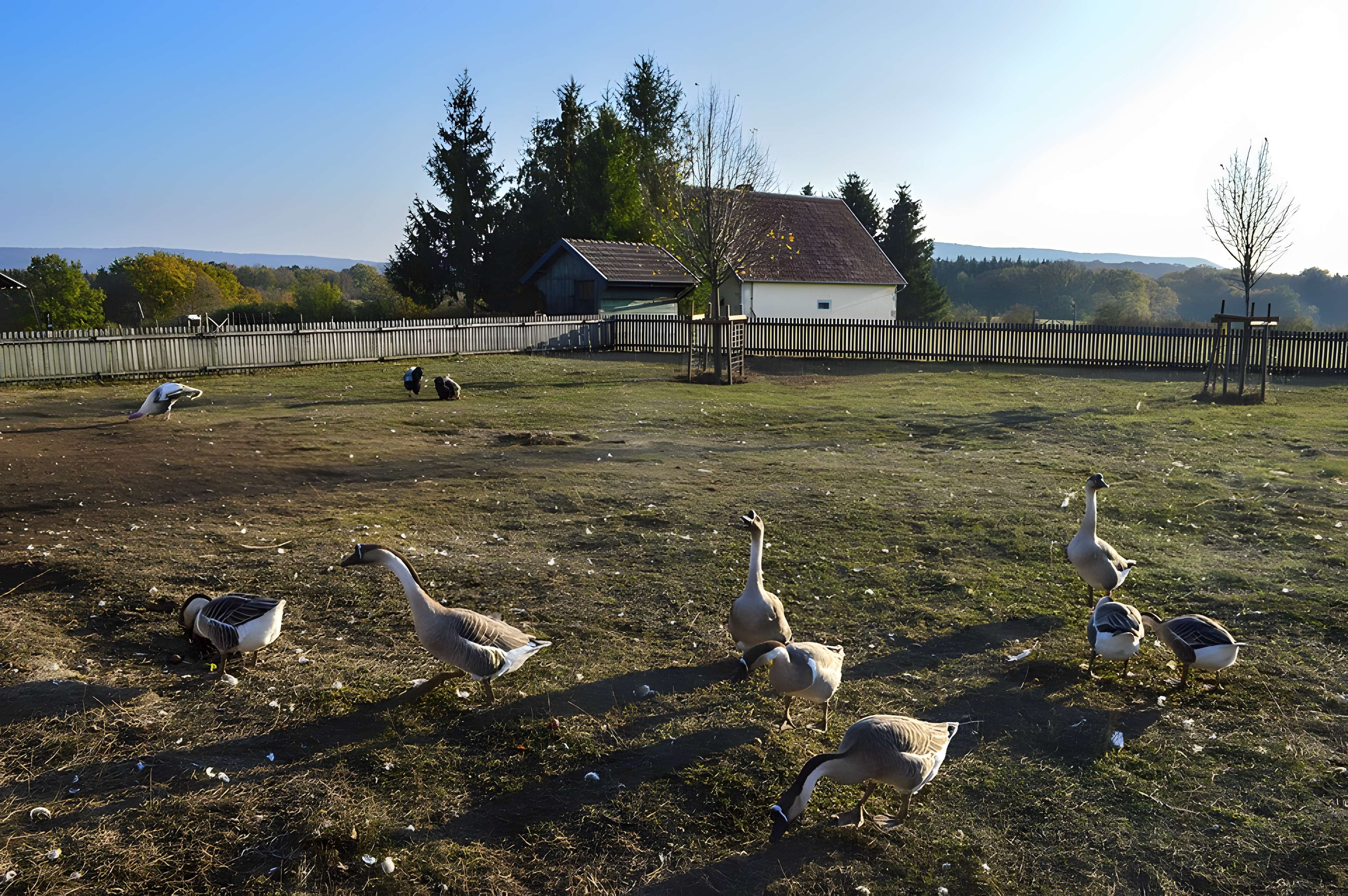 Musée de Plein Air des Maisons Comtoises