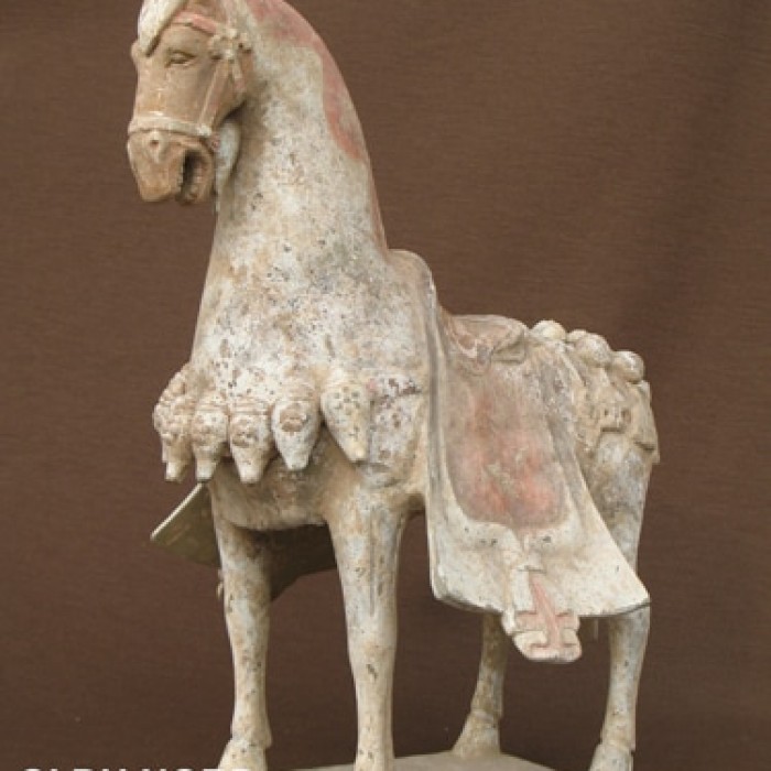 Photo de Musée Baron-Martin à Gray